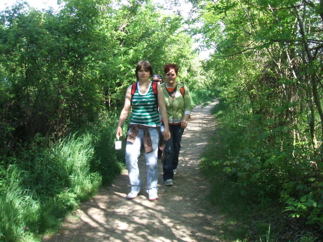 Palavou zvtit